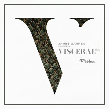James Warren Visceral 063 - Part 1