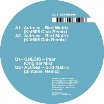 Actress feat. Simbiosi Bird Matrix - Simbiosi Remix