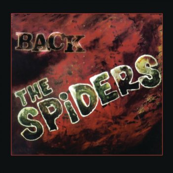 The Spiders Back