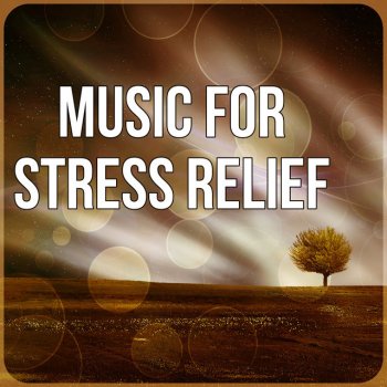 Stress Relief Calm Oasis Soft White Noise