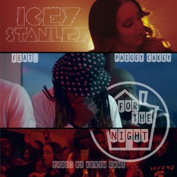 Iceystanley feat. Paigey Cakey For the Night (feat. Paigey Cakey)