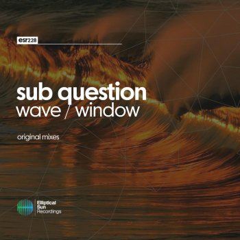 Sub Question Window