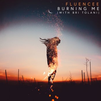 Fluencee feat. Bri Tolani Burning Me