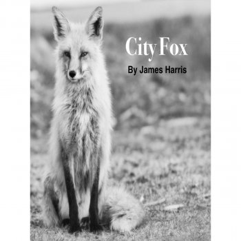 James Harris City Fox