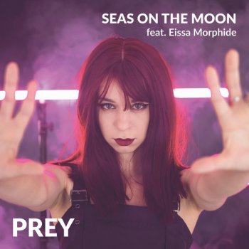 Seas on the Moon feat. Eissa Morphide Prey