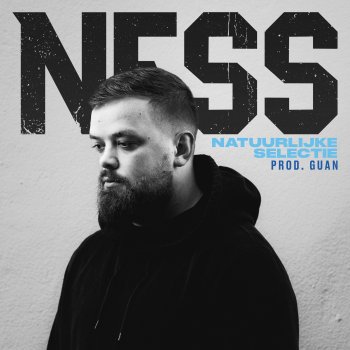 NESS feat. Guan & Sticks DE TOP