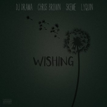 DJ Drama feat. Chris Brown, Skeme & Lyquin Wishing - Radio Edit