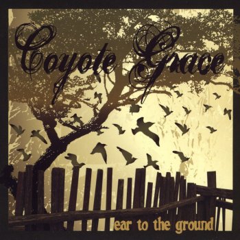 Coyote Grace Young and Dumb