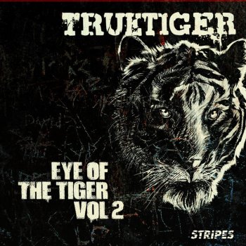 True Tiger Big Love - Instrumental Mix