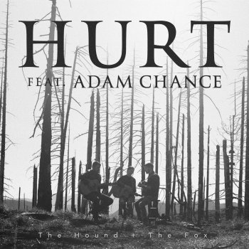 The Hound + The Fox feat. Adam Chance Hurt (feat. Adam Chance)