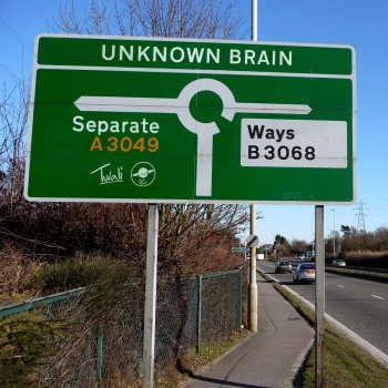 Unknown Brain Separate Ways