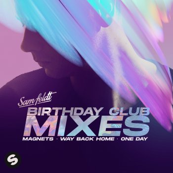 Sam Feldt One Day (feat. ROZES) [Extended Club Mix]
