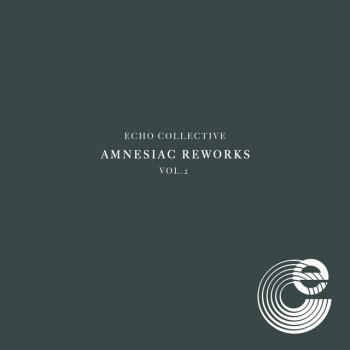 Echo Collective feat. Niklas Paschburg Like Spinning Plates - Niklas Paschburg Rework