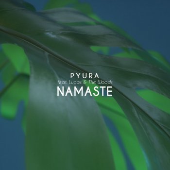 Pyura feat. Lucas & The Woods Namaste