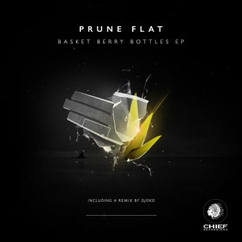 Prune Flat Basket Berry Bottles - DJOKO Remix