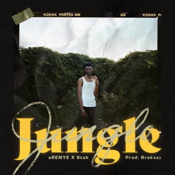 aRENYE Jungle (feat. Stak)