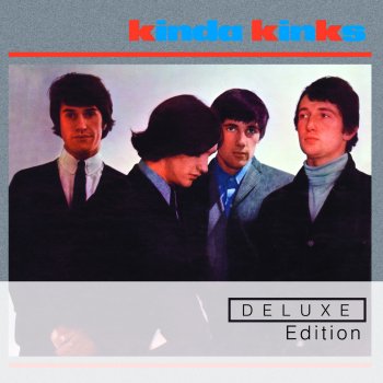 The Kinks Never Met a Girl Like You Before (Mono Single)