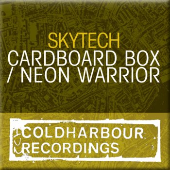 Skytech Cardboard Box