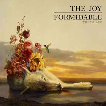 The Joy Formidable Cholla