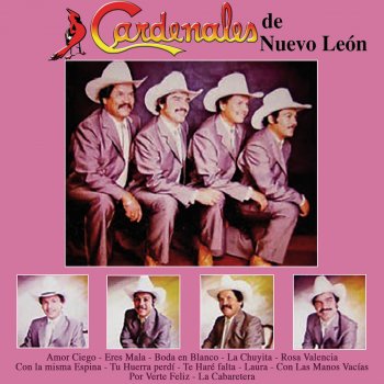 Cardenales de Nuevo León Amor Ciego