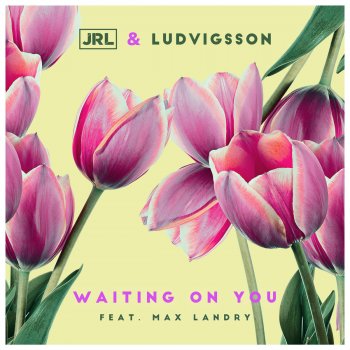 JRL feat. Ludvigsson & Max Landry Waiting on You