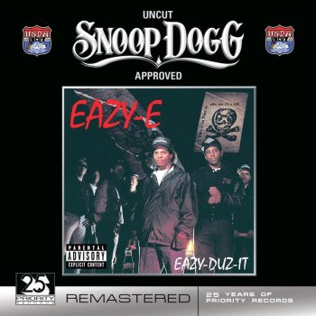 Eazy-E Boyz-N-The-Hood - Remix;