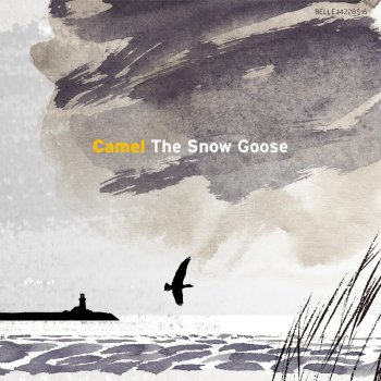 Camel Flight of the Snow Goose