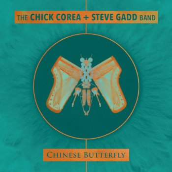 Chick Corea feat. Steve Gadd Serenity