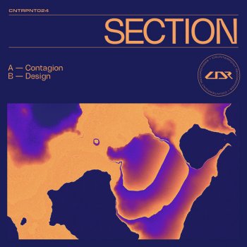 SECTION Contagion