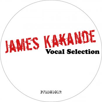 James Kakande You You You - Alex Gaudino & Jerma Extended Mix