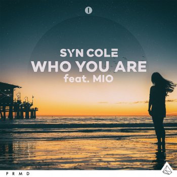 Syn Cole Who You Are (feat. MIO) [Extended Instrumental Mix]