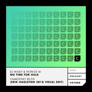 Dj Wady feat. Patrick M No Time for Hulk (Camelphat Re-Fix) (Erik Hagleton 2018 Vocal Edit)