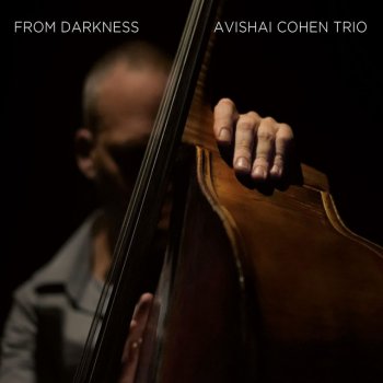 Avishai Cohen Trio Almah Sleeping
