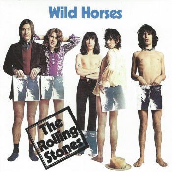 The Rolling Stones Wild Horses (Live)