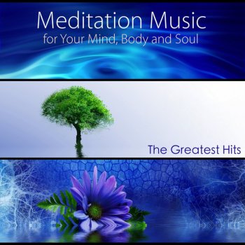 Meditation Sleep Music Therapy