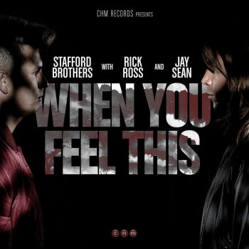 Stafford Brothers feat. Jay Sean & Rick Ross When You Feel This