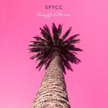 Spycc Midnight Groove
