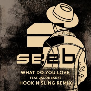 Seeb feat. Jacob Banks & Hook N Sling What Do You Love - Hook N Sling Remix