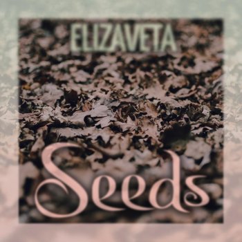 Elizaveta Seeds