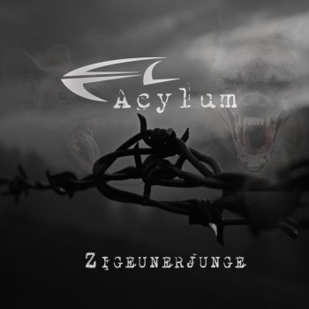 Acylum Zigeunerjunge (Benjamin's Plague Remix)