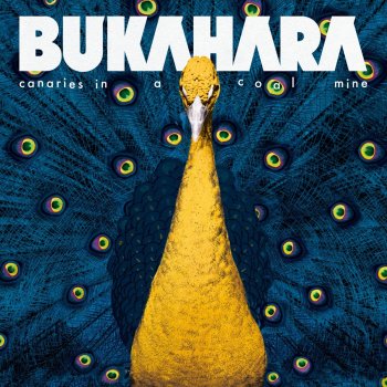 Bukahara The Vulture and the Little Boy