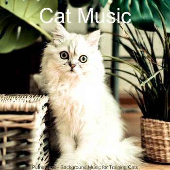 Cat Music Debonair Solo Piano Jazz - Vibe for Cute Cats