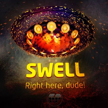 Swell Right Here, Dude!