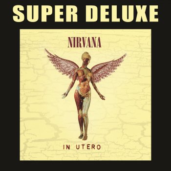Nirvana Rape Me - Live & Loud
