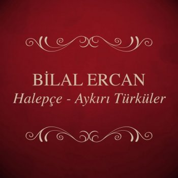 Bilal Ercan Kan Lekeleri