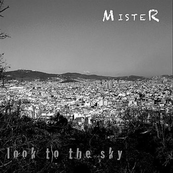 Mister Look To the Sky