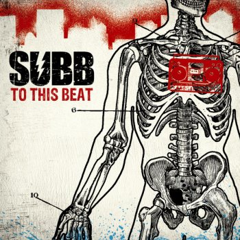 Subb Looking Down