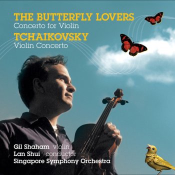 Pyotr Ilyich Tchaikovsky feat. Gil Shaham, Lan Shui & Singapore Symphony Orchestra Violin Concerto in D Major, Op. 35: II. Canzonetta. Andante