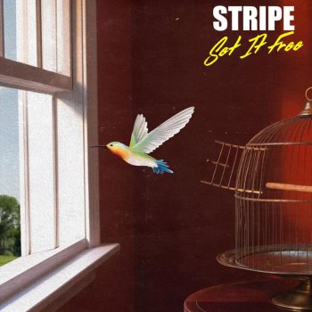 STRIPE Set It Free