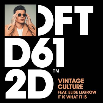 Vintage Culture It Is What It Is (feat. Elise LeGrow) [Club Mix]